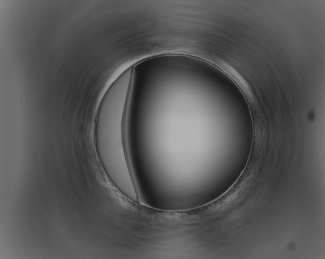 X0000094970956200711291135