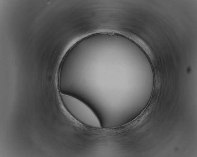 X0000094970958200711291135
