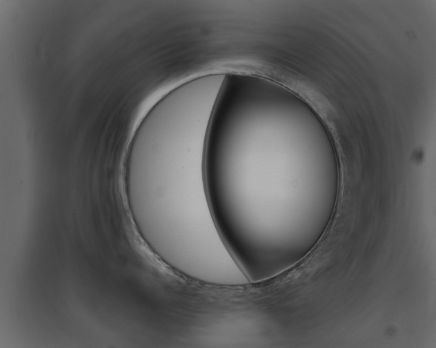 X0000094970960200711291135