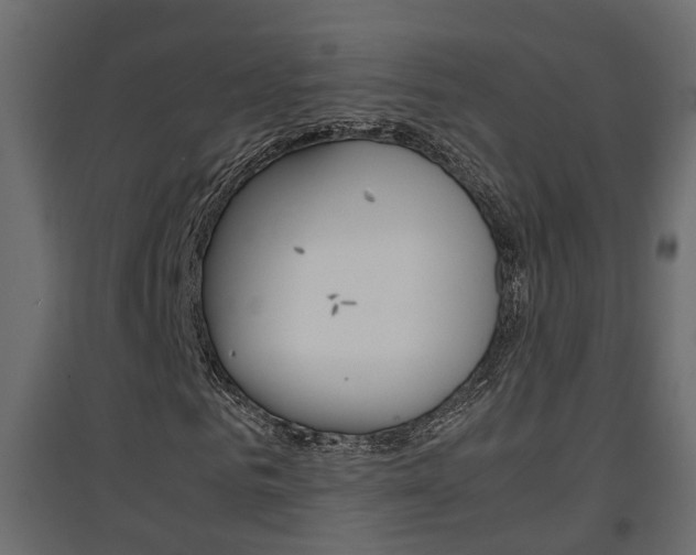 X0000094970961200711291134