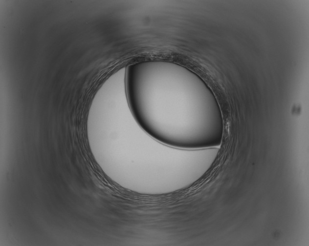X0000094970963200711291134