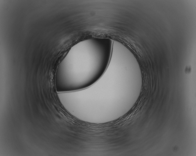 X0000094970964200711291134