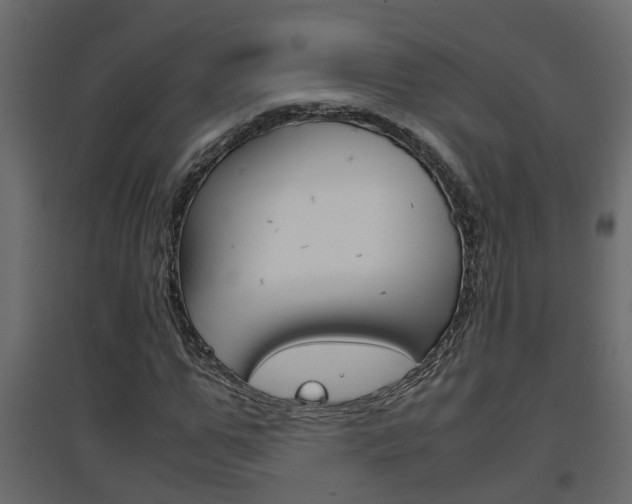 X0000094970967200711291134
