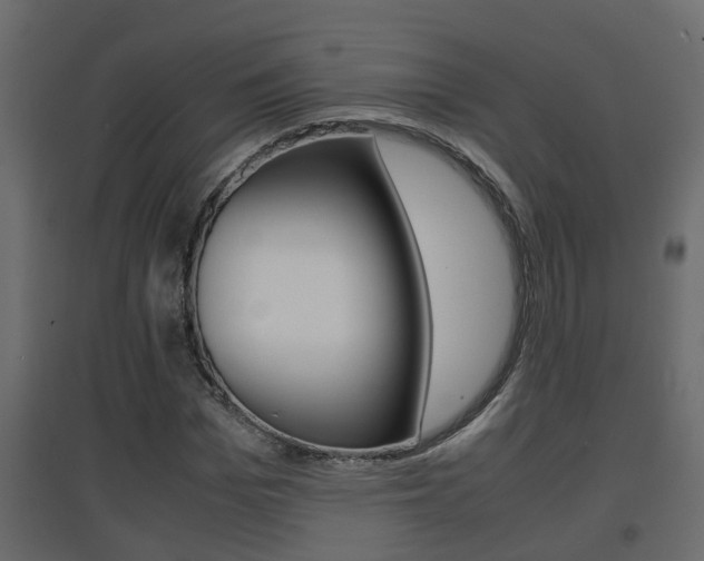 X0000094970969200711291134