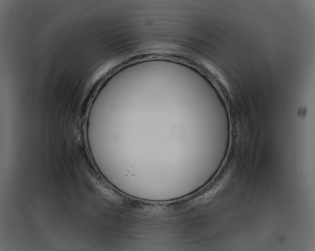 X0000094970970200711291134