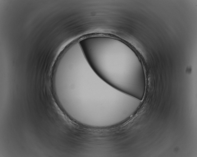 X0000094970972200711291134