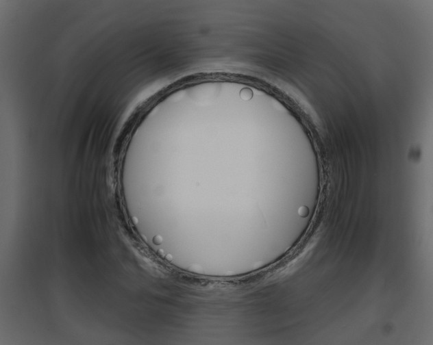 X0000094970974200711291134