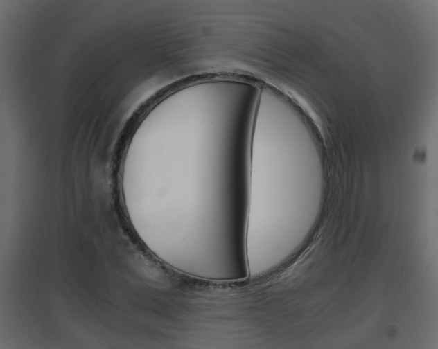 X0000094970975200711291134