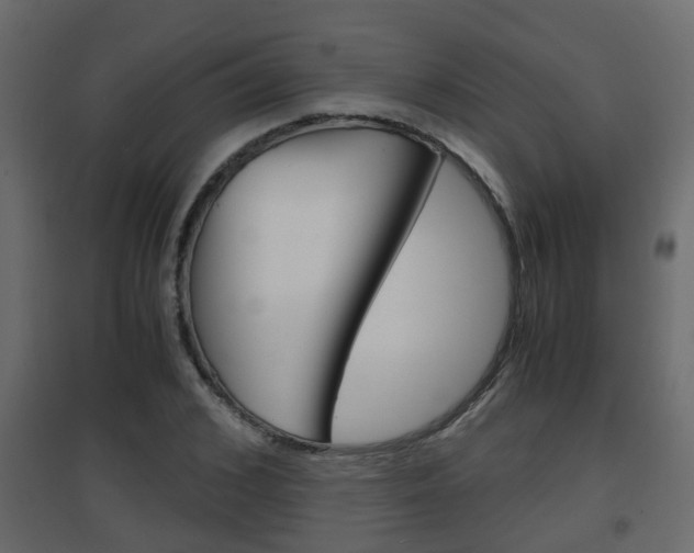 X0000094970976200711291134