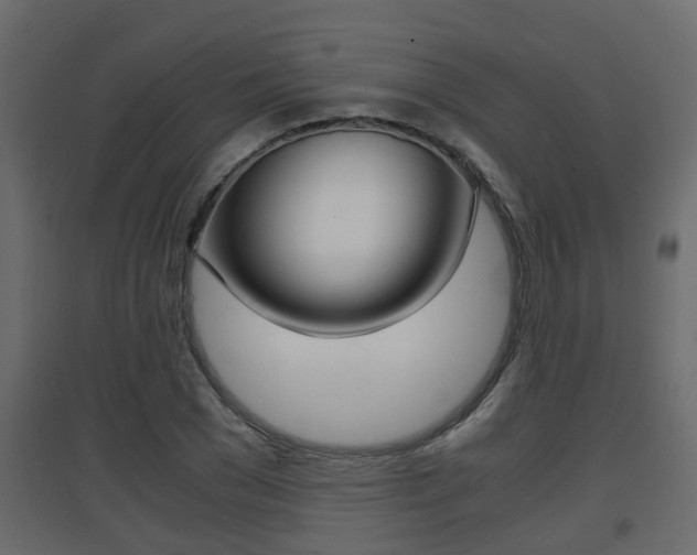 X0000094970977200711291134