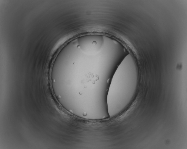 X0000094970978200711291134