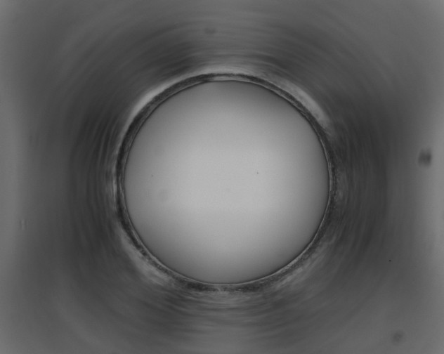 X0000094970980200711291133