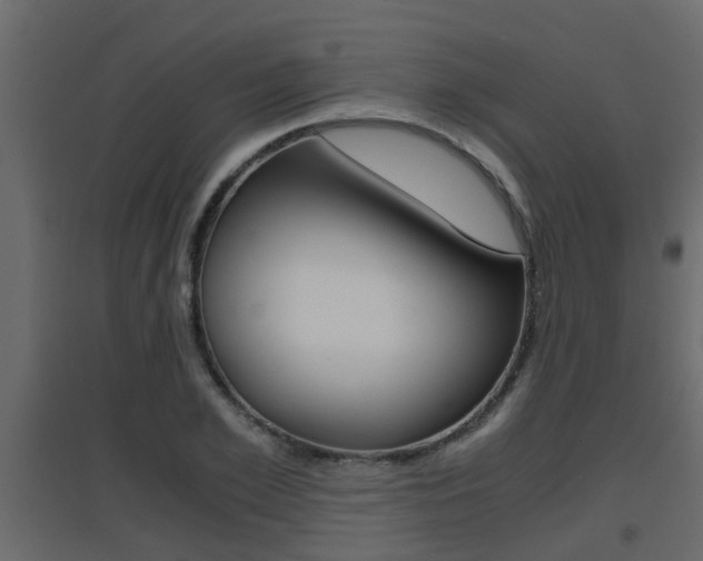X0000094970981200711291133
