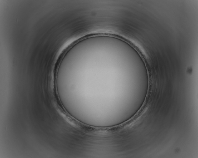 X0000094970982200711291133