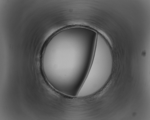 X0000094970983200711291133