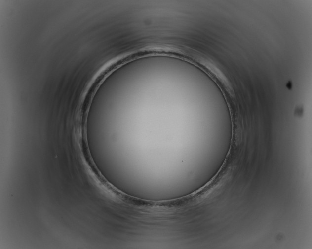 X0000094970984200711291133