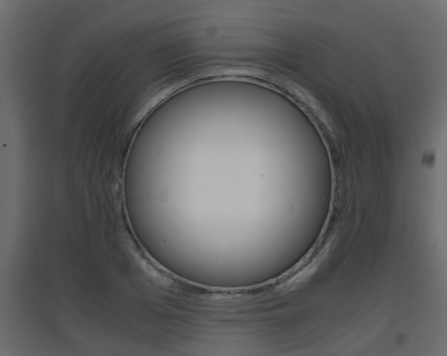 X0000094970985200711291133
