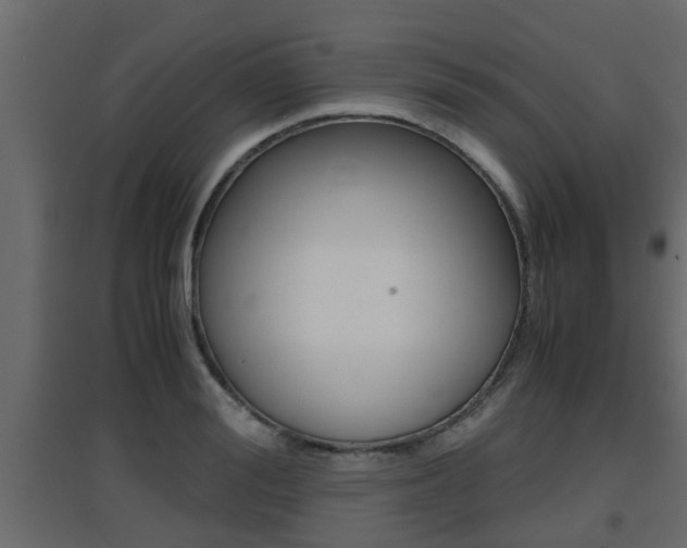 X0000094970988200711291133