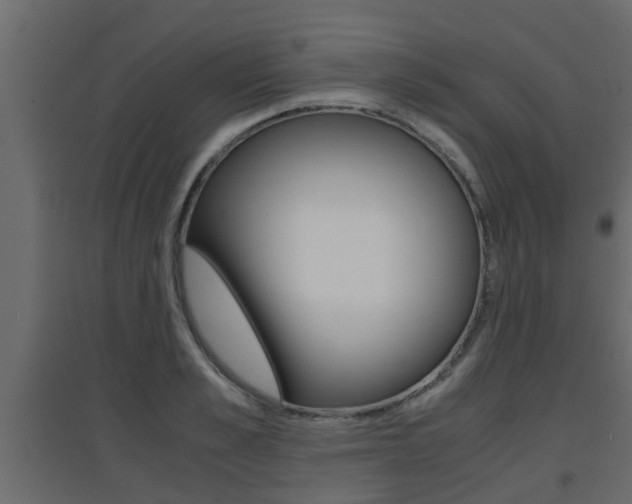 X0000094970989200711291133