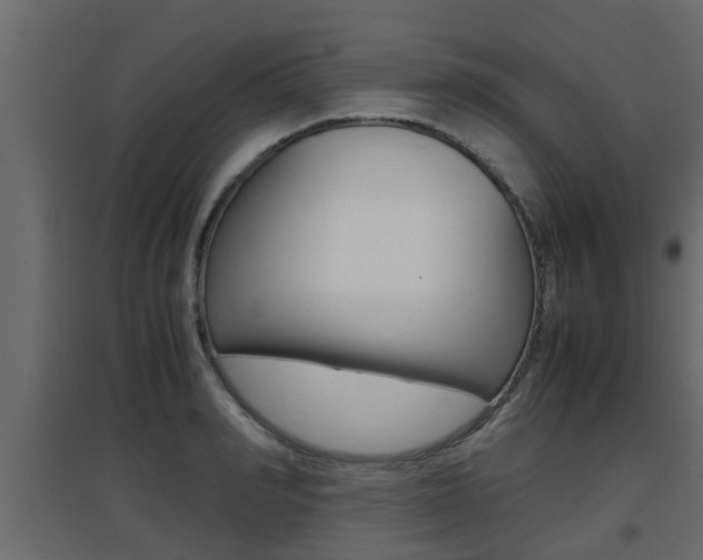 X0000094970990200711291133
