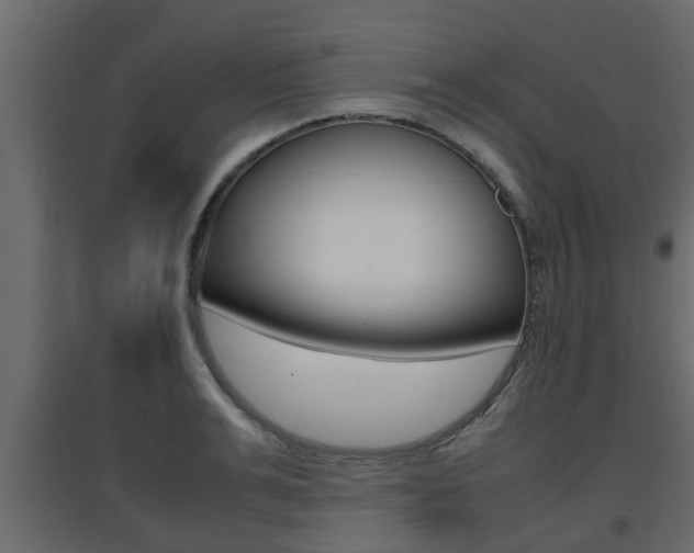 X0000094970991200711291133