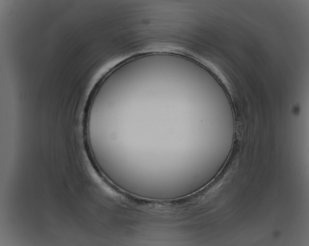 X0000094970995200711291133