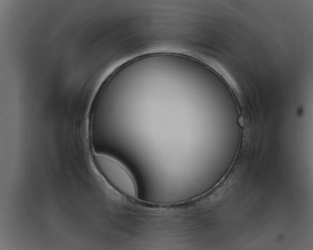 X0000094970996200711291133