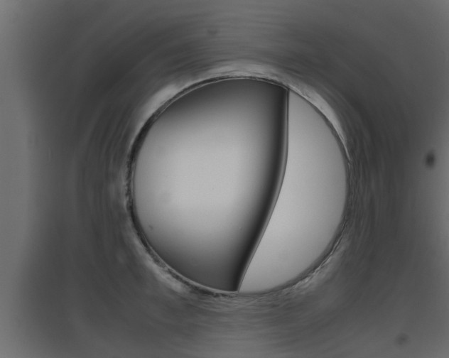 X0000094970997200711291133