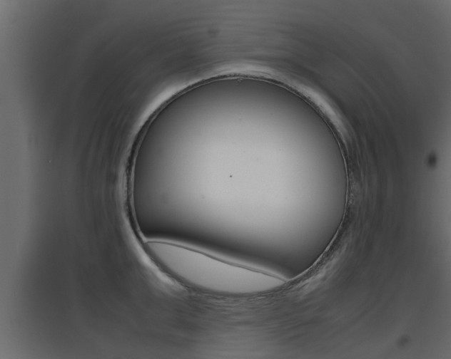 X0000094970999200711291133