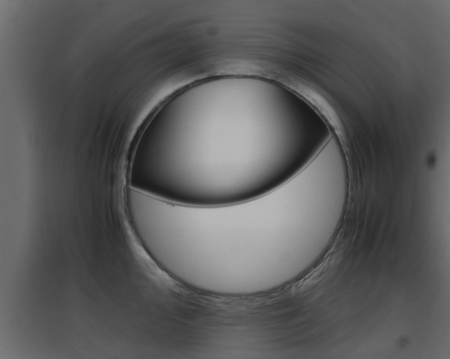 X0000094971000200711291133
