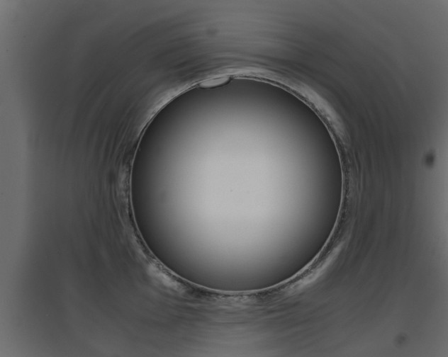 X0000094971001200711291133