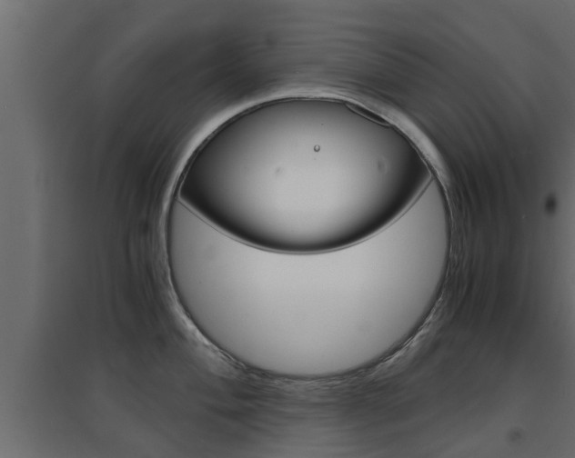 X0000094971004200711291133