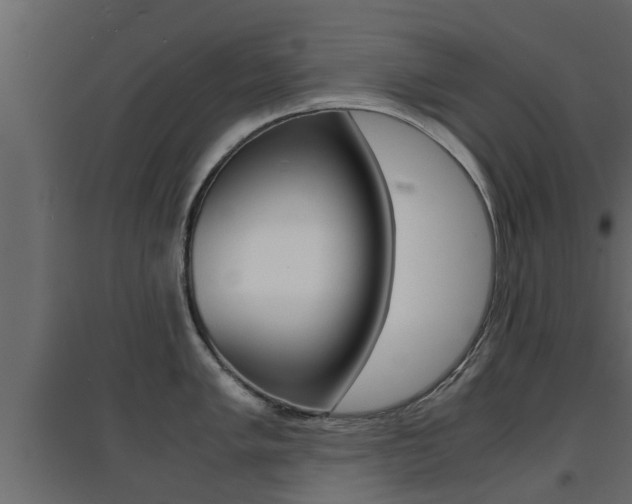 X0000094971005200711291133