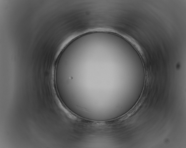 X0000094971006200711291133