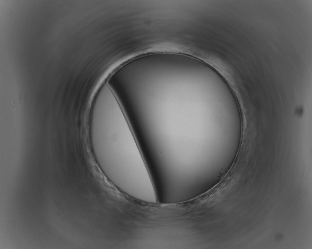 X0000094971008200711291133