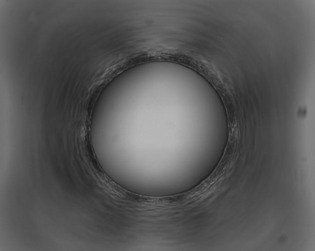 X0000094971012200711291132