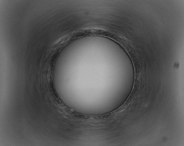 X0000094971014200711291133