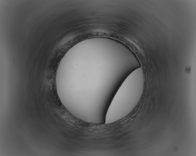 X0000094971015200711291133