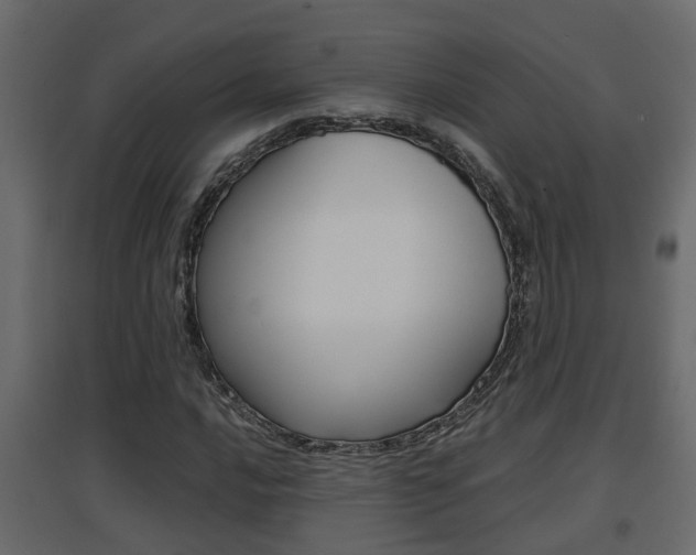X0000094971016200711291133