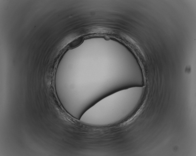X0000094971017200711291133