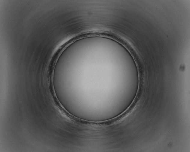 X0000094971018200711291133