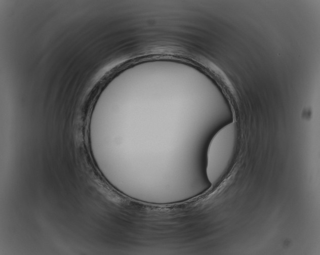 X0000094971019200711291133