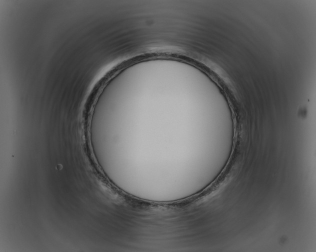 X0000094971022200711291133