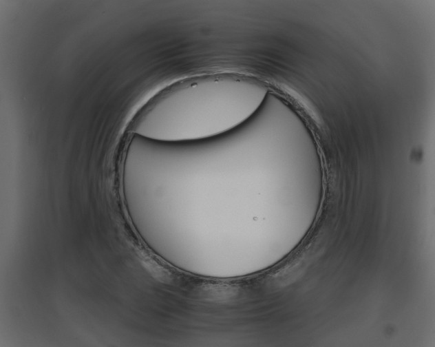 X0000094971023200711291133