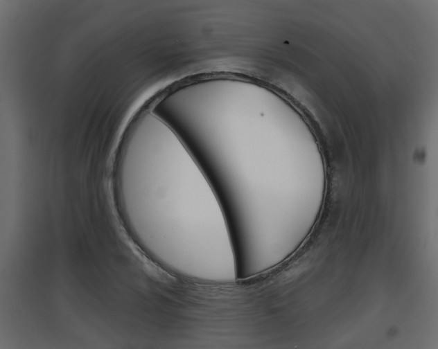 X0000094971024200711291133