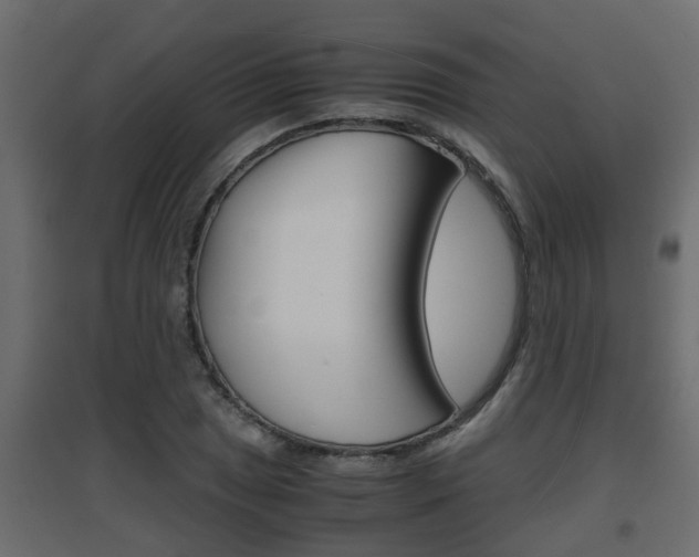 X0000094971025200711291133