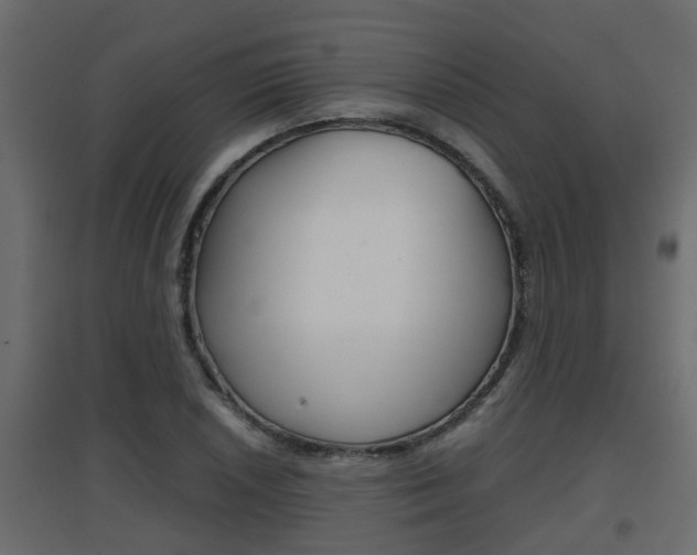 X0000094971026200711291133