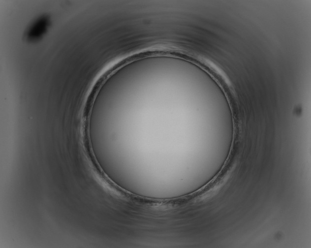 X0000094971029200711291133