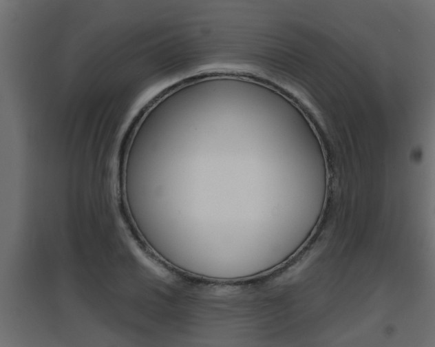 X0000094971030200711291133