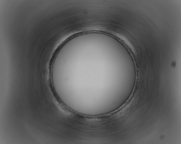 X0000094971031200711291133